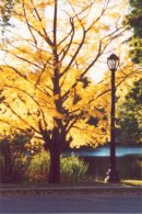 Albany, NY - Washington Park